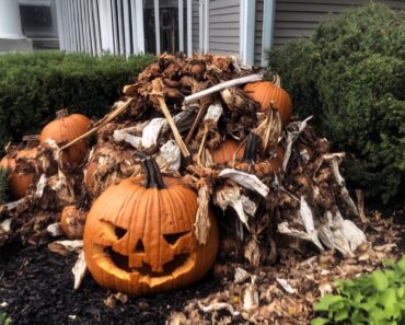 My Neighbors Threw Their Rotten Halloween Decorations in My Yard So I Would Take Them Away – But I Taught Them a Lesson