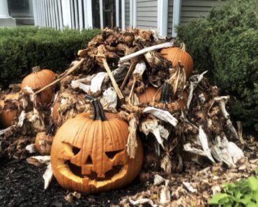 My neighbors tossed their rotting Halloween decorations in my yard, but I taught them a lesson