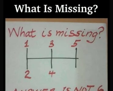 RIDDLE: What Is Missing?